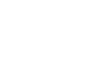 Verde Amor logo - Le Blanc authorized distributor.